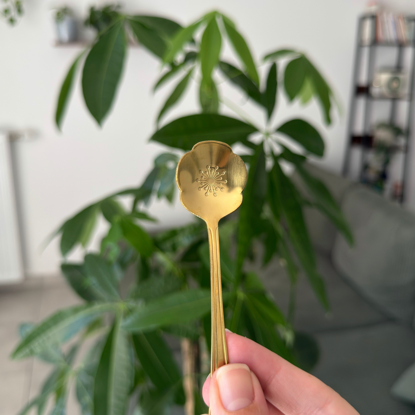 DORÉE Fleur 7