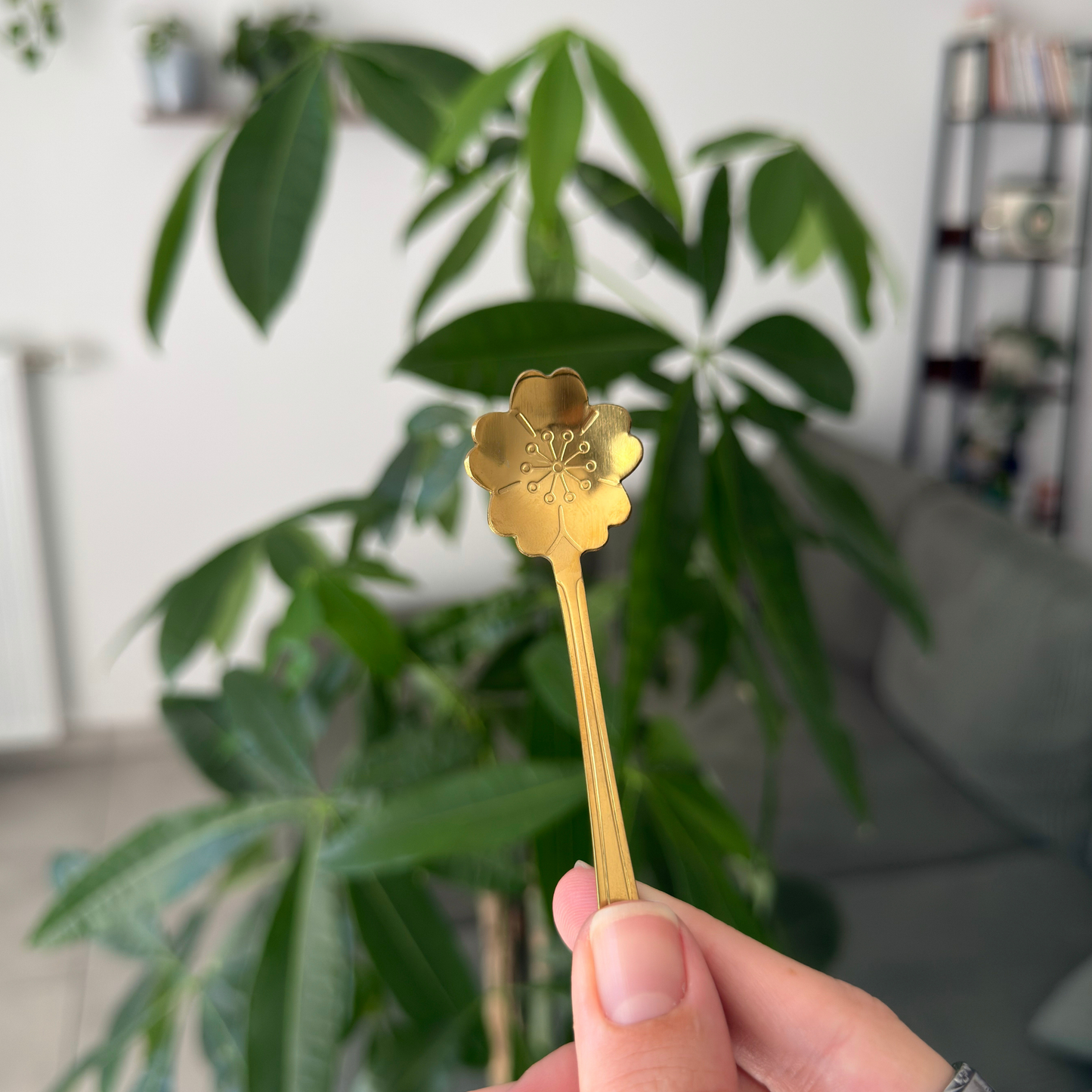 DORÉE Fleur 6