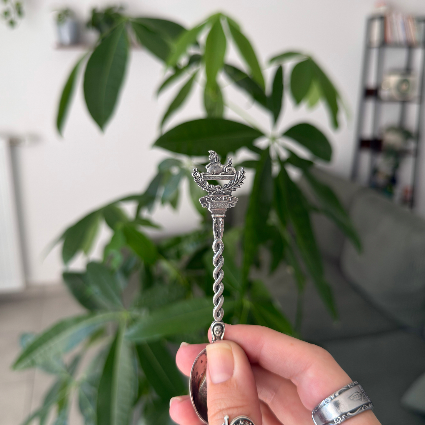 SPÉCIALE Égypte