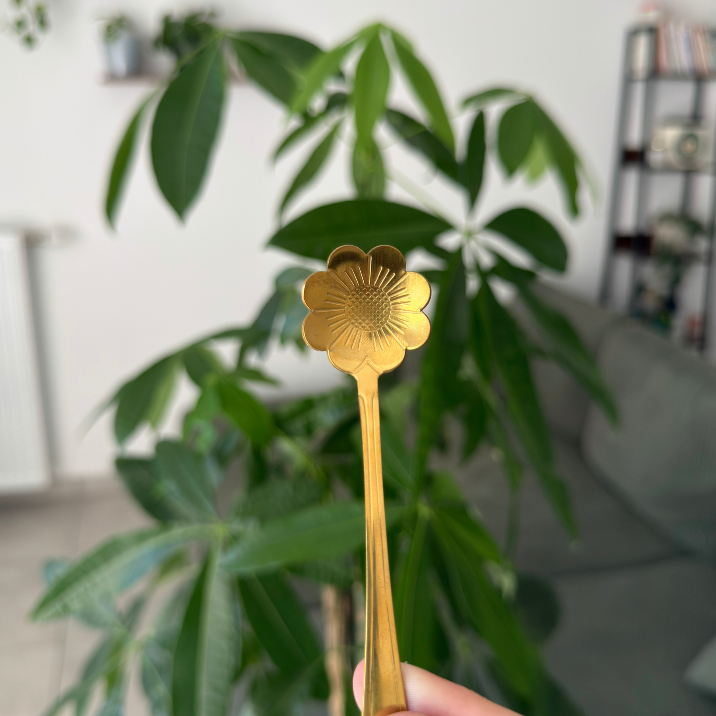 DORÉE Fleur 5