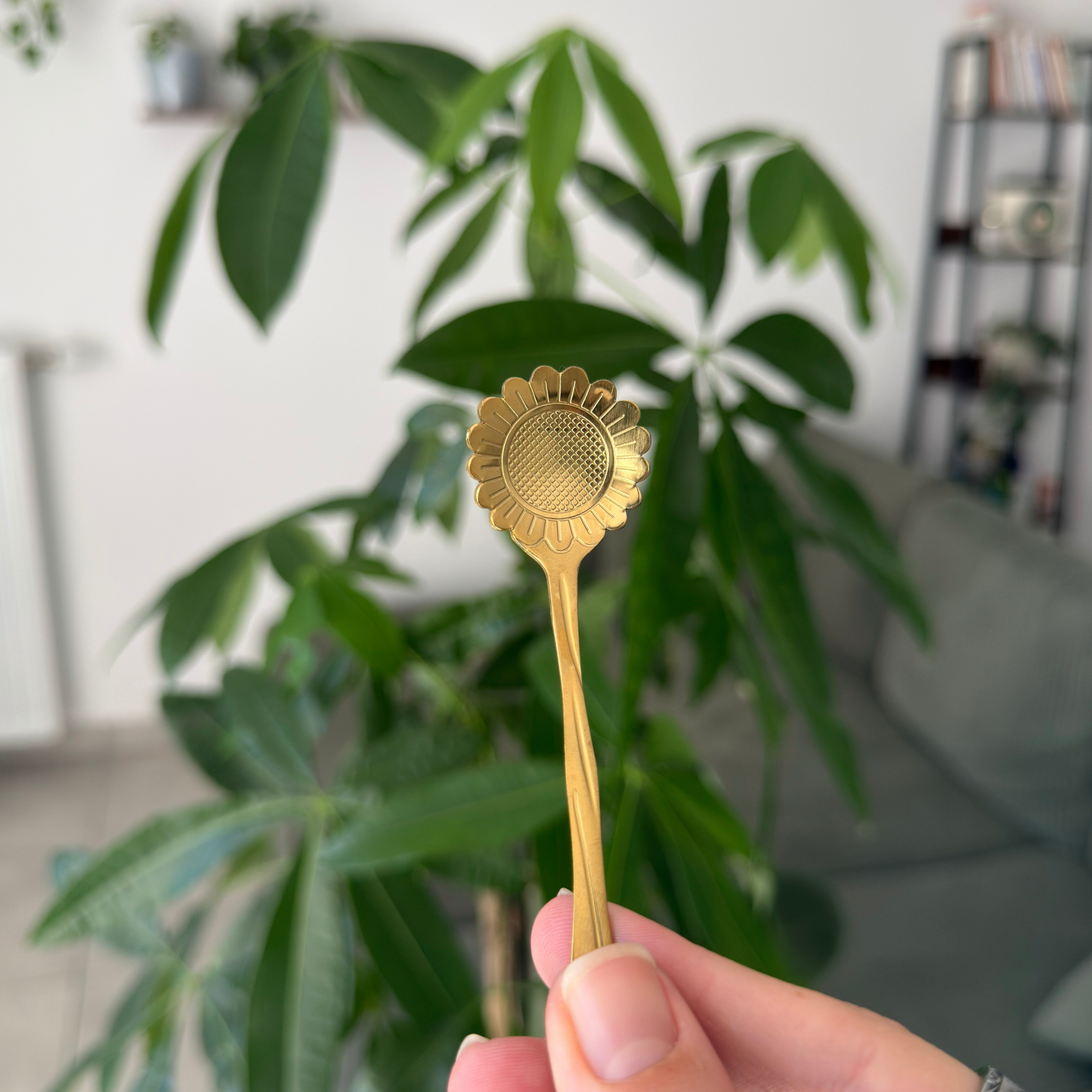 DORÉE Fleur 4