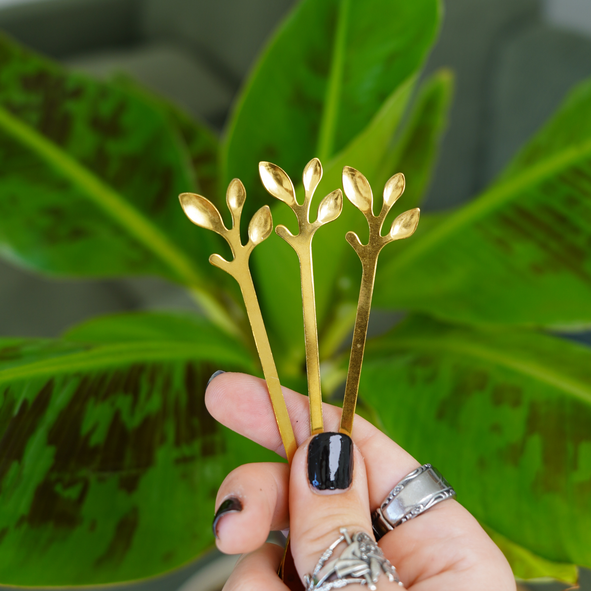 DORÉE Leaf